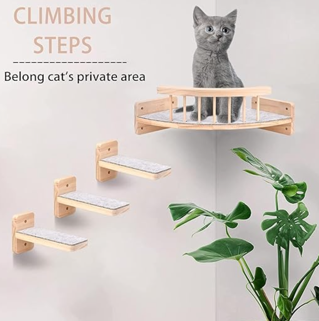 CAT LADDER